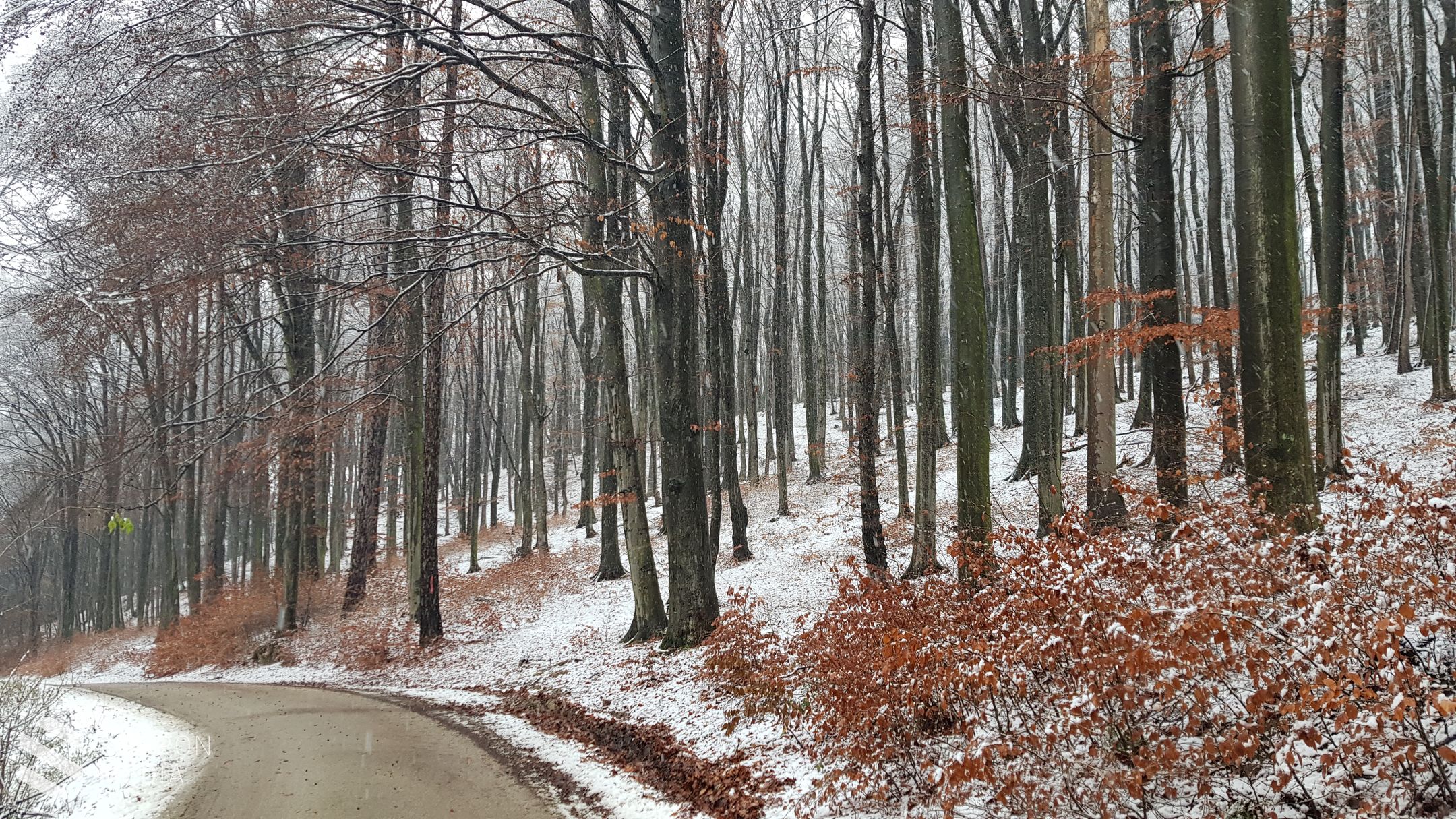 Hóesés Sopron környékén