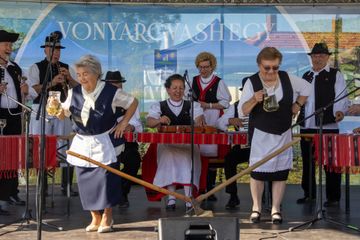 Vonyarcvashegy