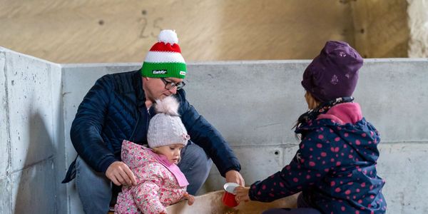 Mesés őszi délután a Kőfejtőben