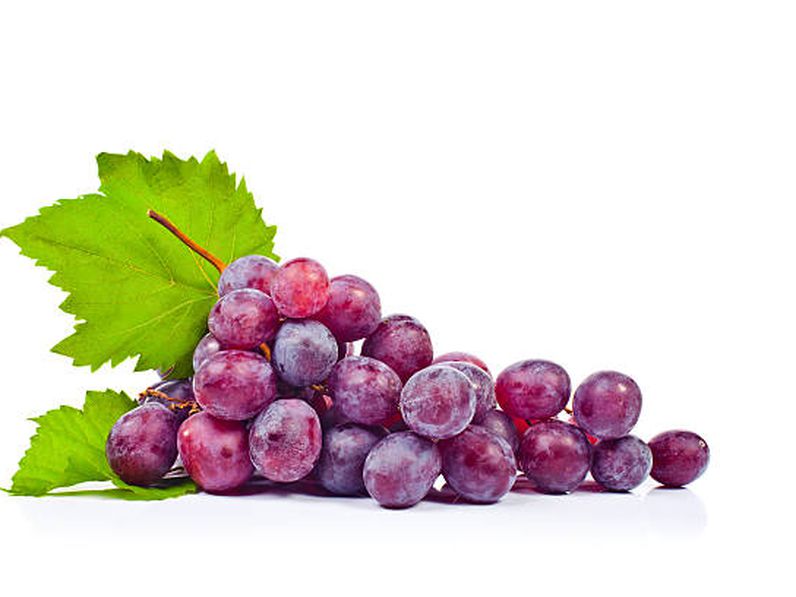 Egyik legősibb kultúrnövényünk, a szőlő