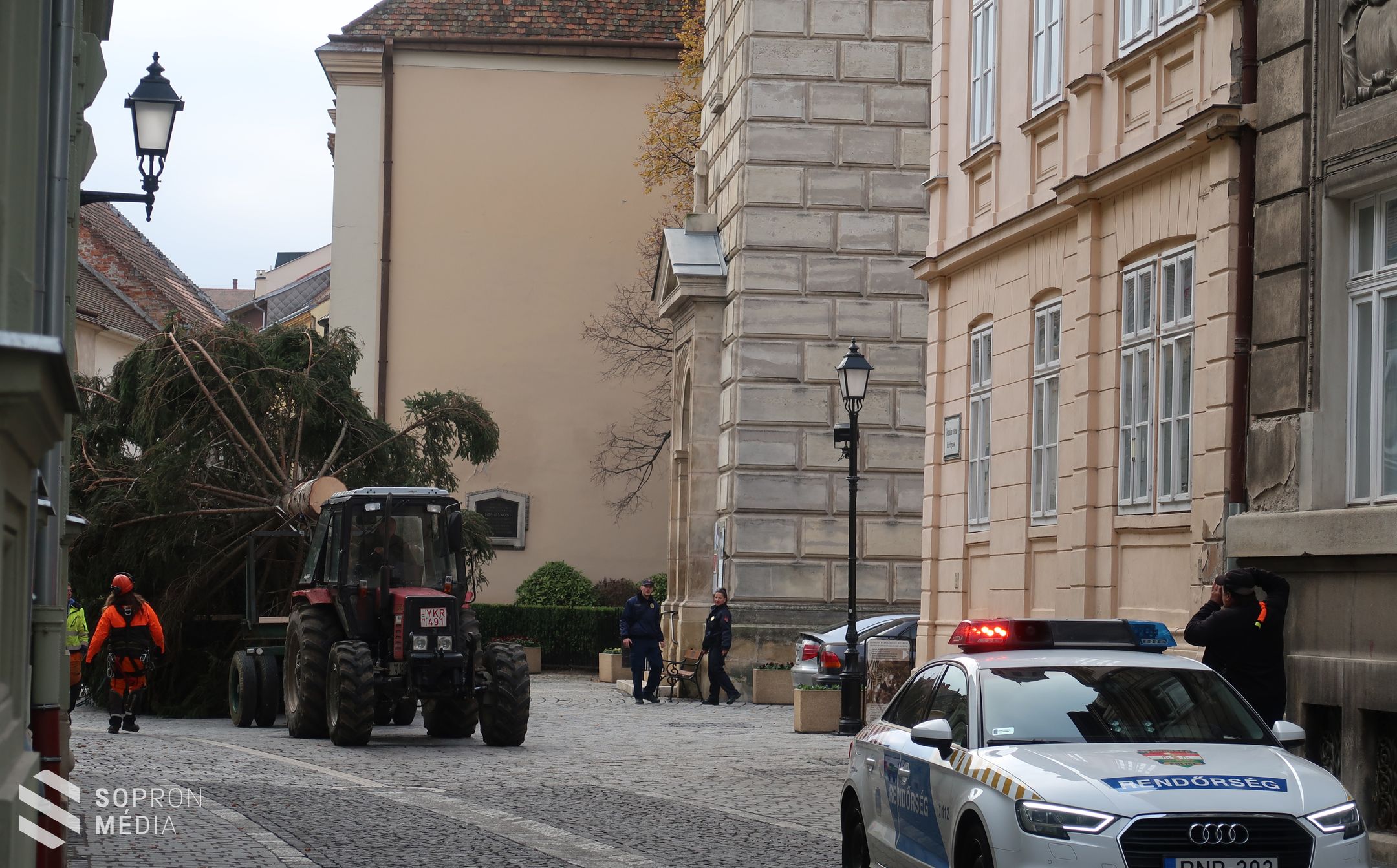 Megérkezett a város karácsonyfája