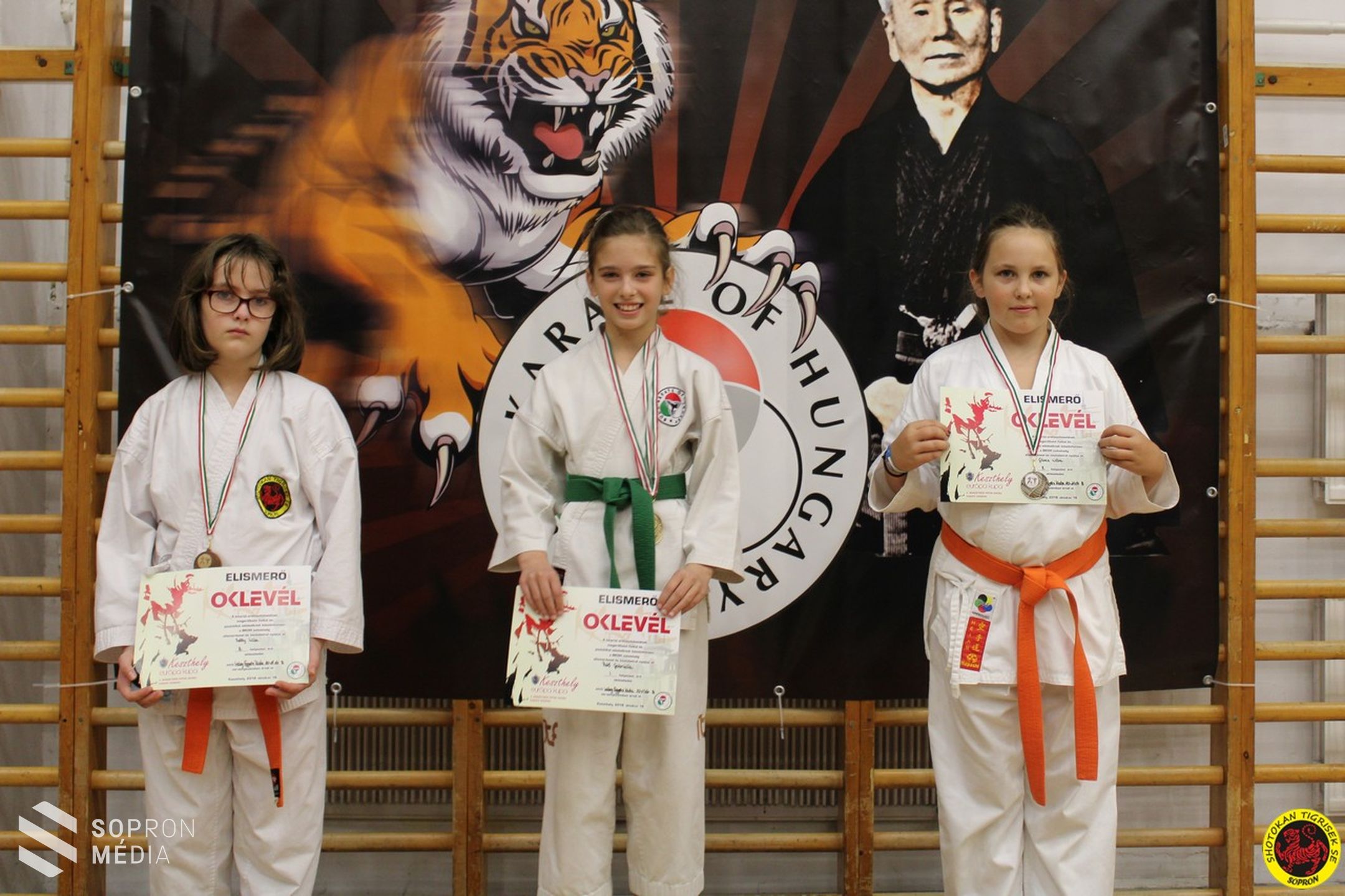 Újabb  sikerek a Shotokan Tigriseknél