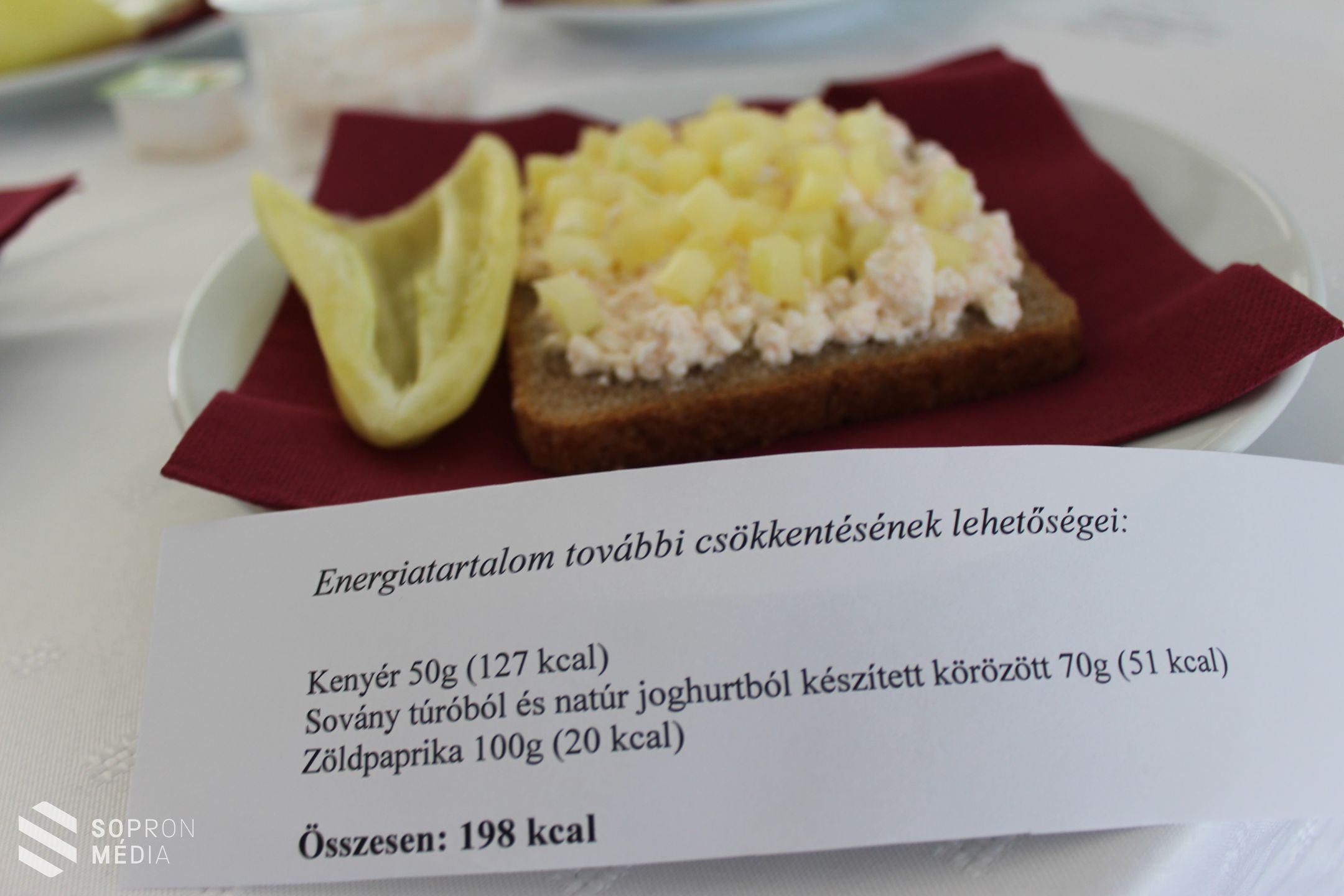 Az elhízás számos betegség előszobája