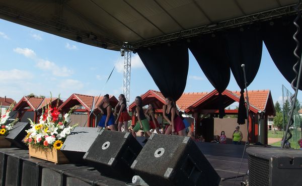 25. Falunap 2014. augusztus 9.