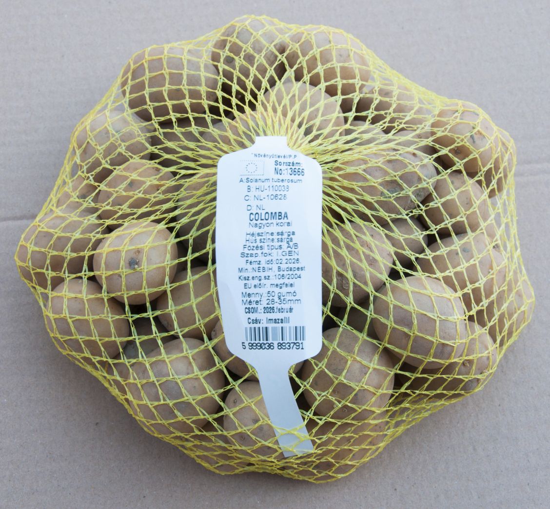 Vetőburgonya Colomba 50 szem termék képe