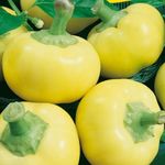 Almapaprika csípős 5 g termék képe