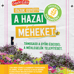 Vetőmag tasak PROMOCIÓS CÉLRA termék képe