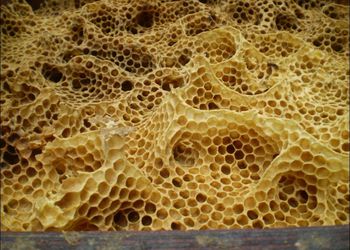 Veres Méhészet Mezőcsát