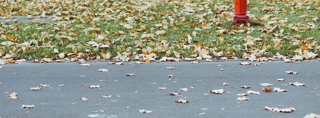 Közeleg a tűzi vízforrás modul