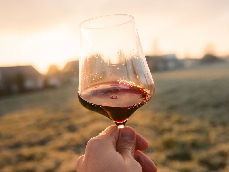 StafétaBor: a Soproni Borvidék borászainak, szőlészeinek új kezdeményezése