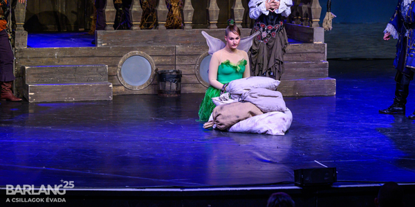 Csingiling és a kalózok