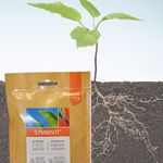 Symbivit 150 g BIO termék képe