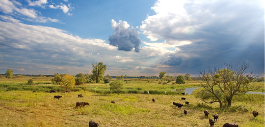 Fertő-Hansági Nemzeti park