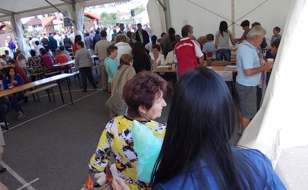 23. Falunap 2012. augusztus 11.