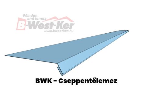 BWK - Tropfblech 2 m lang.