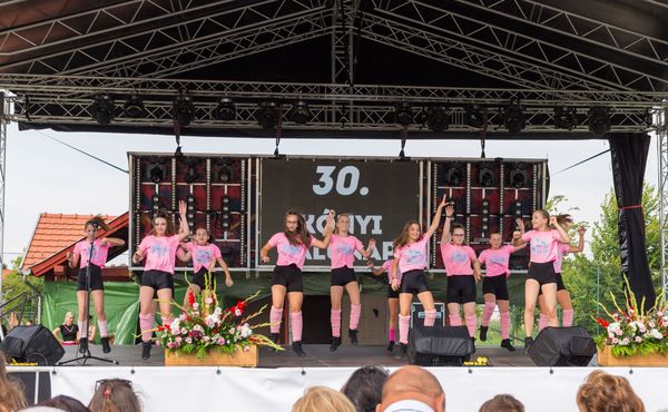 30. Falunap 2019. augusztus 3.