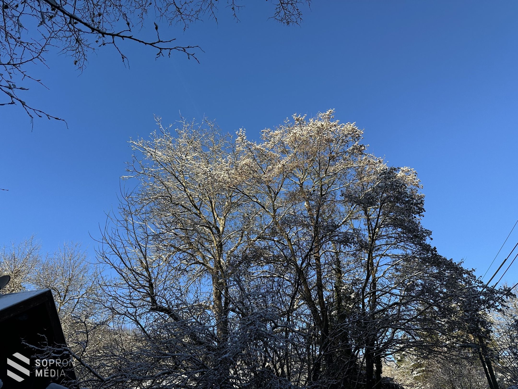 „Járd be velünk!” túra a Soproni-hegységben
