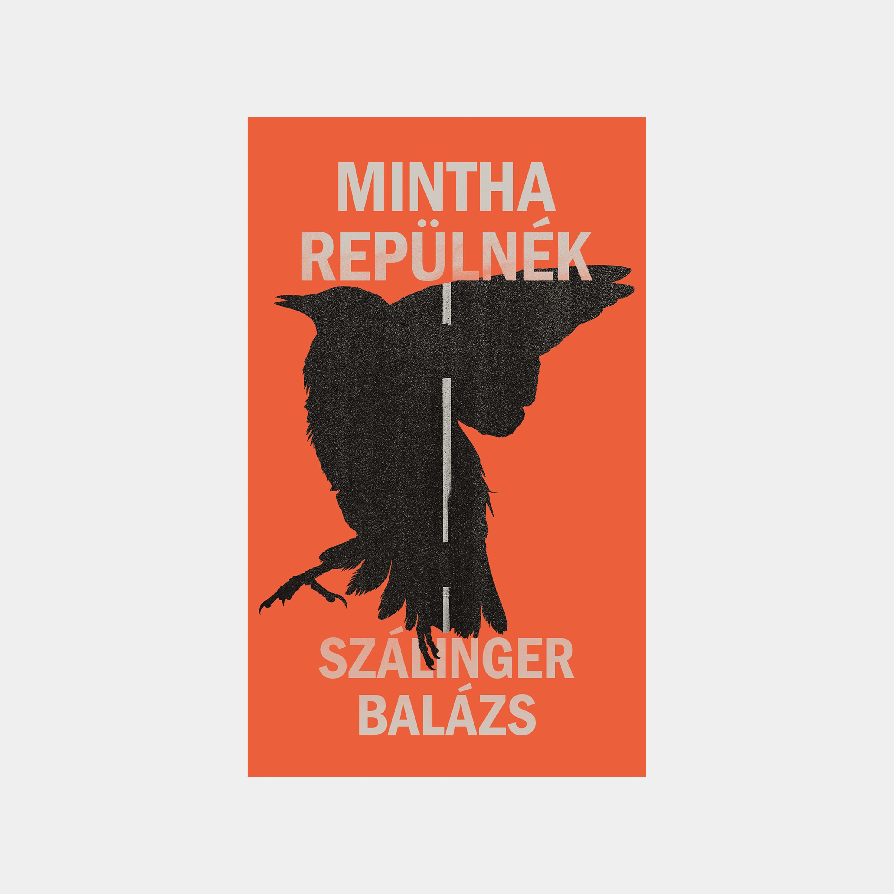 Mintha repülnék (Petőfi nyomán a Felföldön)