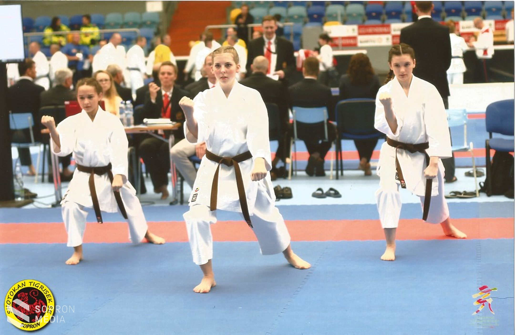 A Shotokan Tigrisek SE karatésai Csehországban is bizonyítottak