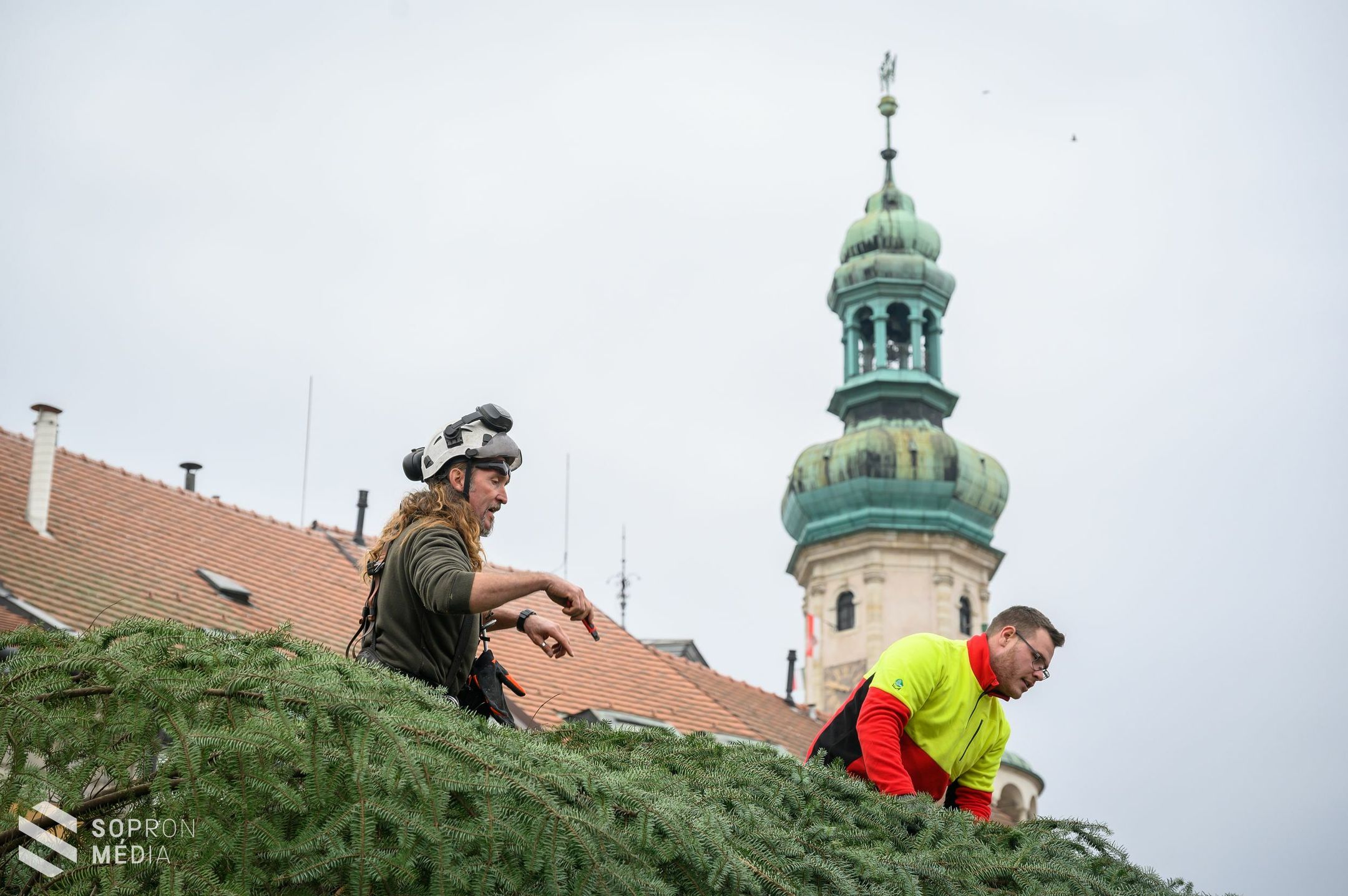 Megérkezett a város karácsonyfája a Várkerületre!