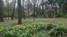 A nyugalom szigete Sopronban: a Botanikus Kert