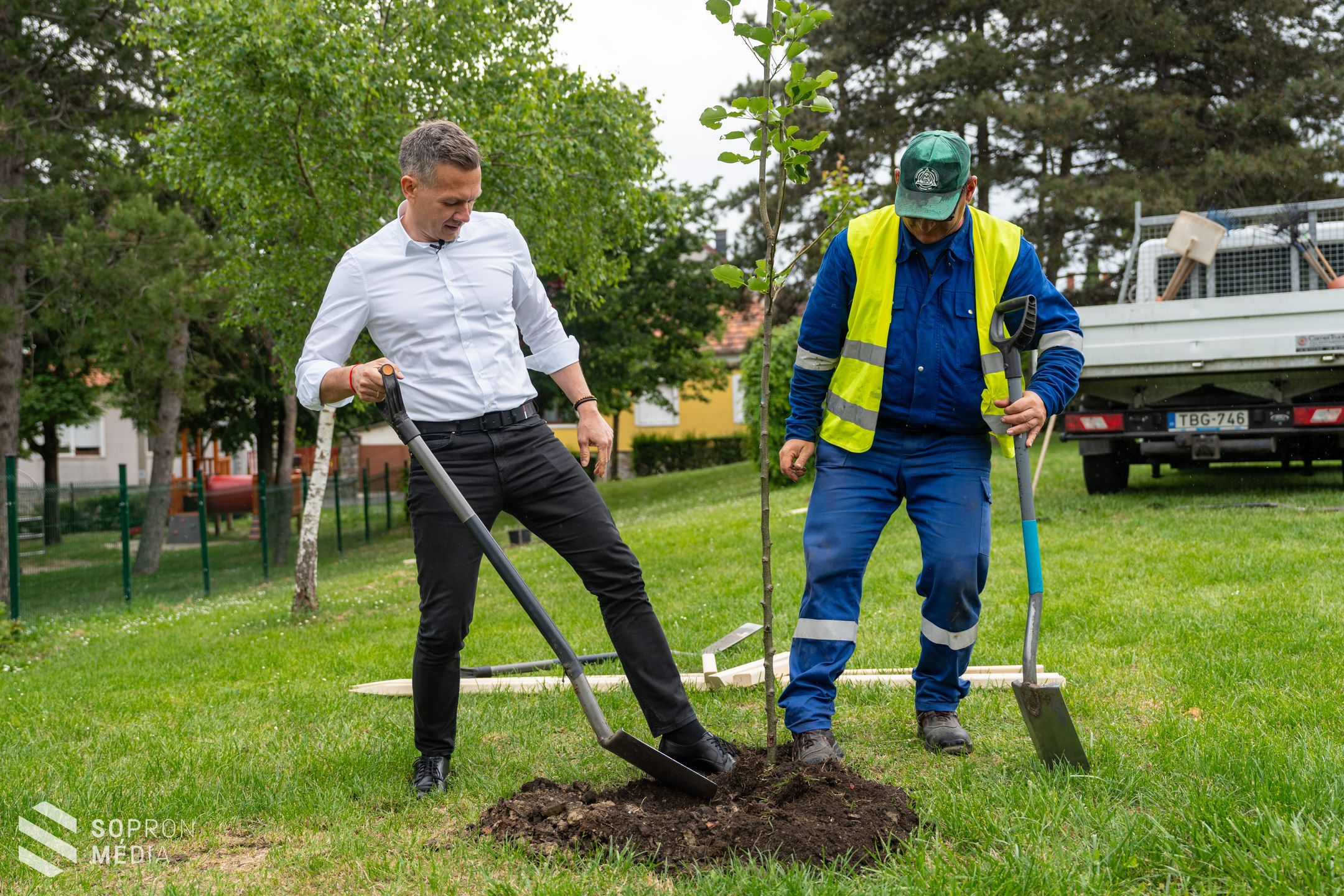 Elindult a faültetési program