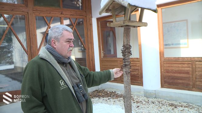 Pellinger Attila, a Fertő-Hanság Nemzeti Park Természetmegőrzési Osztályának vezetője