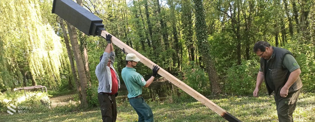 Rendkívüli küzdelmet vívnak a nemzeti park szakemberei a denevérekért