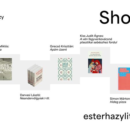 Esterházy Irodalmi Díj