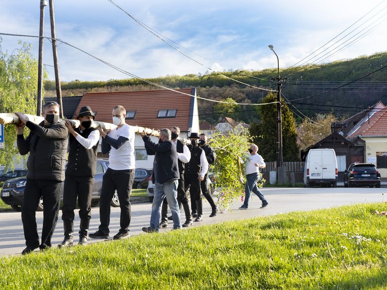 Májusfát állított a Wandorfer Hagyományőrző Egyesület Bánfalván