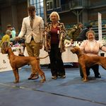 2025.12.05 - Wels CACIB