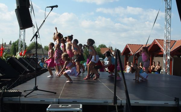 25. Falunap 2014. augusztus 9.