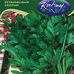 Metélőpetrezselyem 2 g ( fűszer ) termék képe