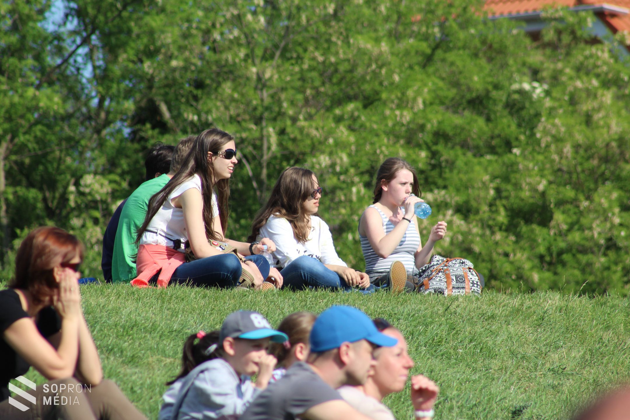 Régészet Napja Sopronban lovasbemutatóval (galéria)