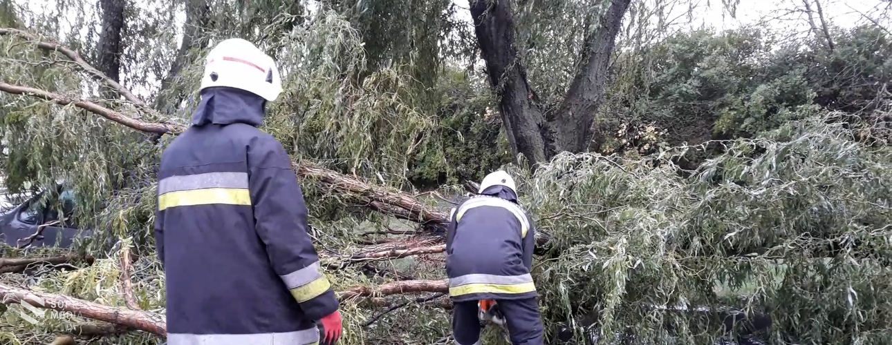 Hidegfront! Fát döntött ki a szél Sopronban