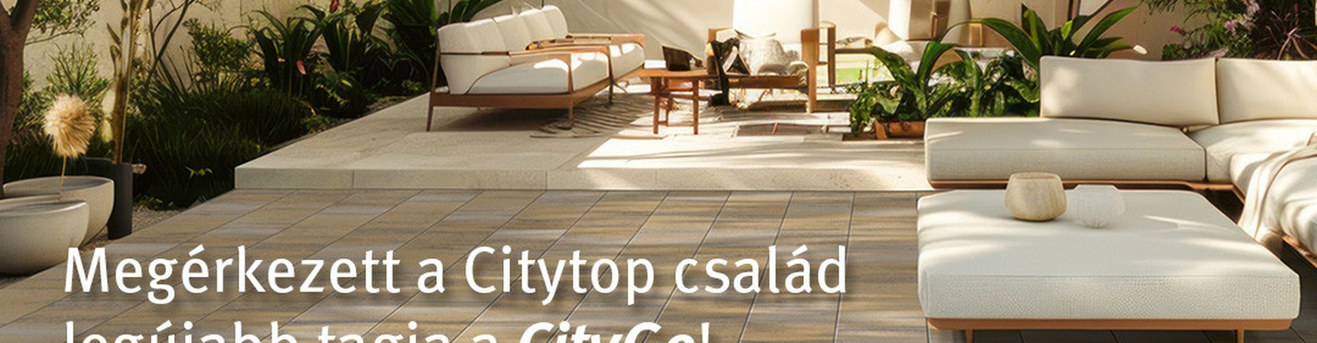 Citytop Go