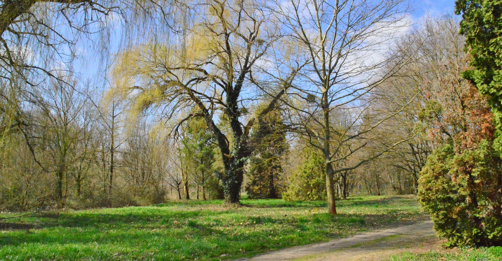 Petőháza