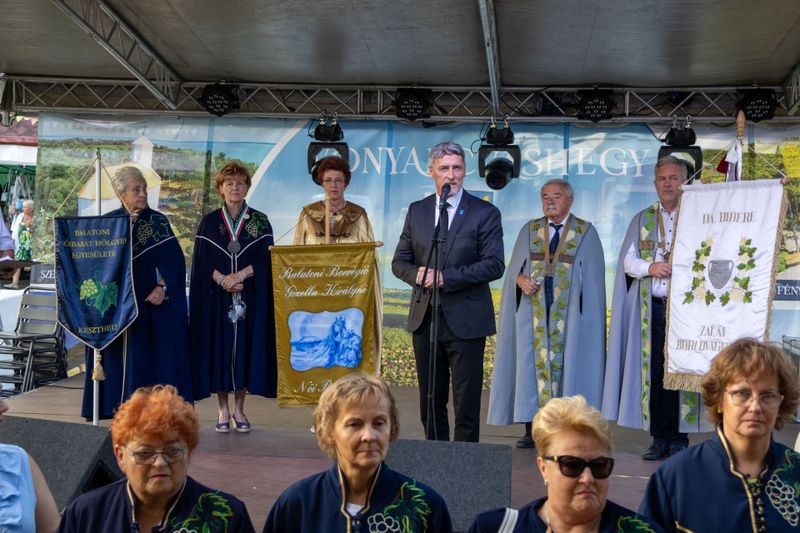 Vonyarci Boros Forgatag szolgáltatás képe