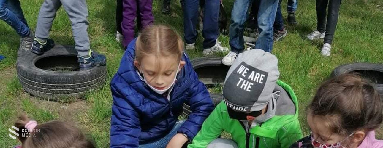 A felelős állattartásra nevelés, gyerekkorban kezdődik