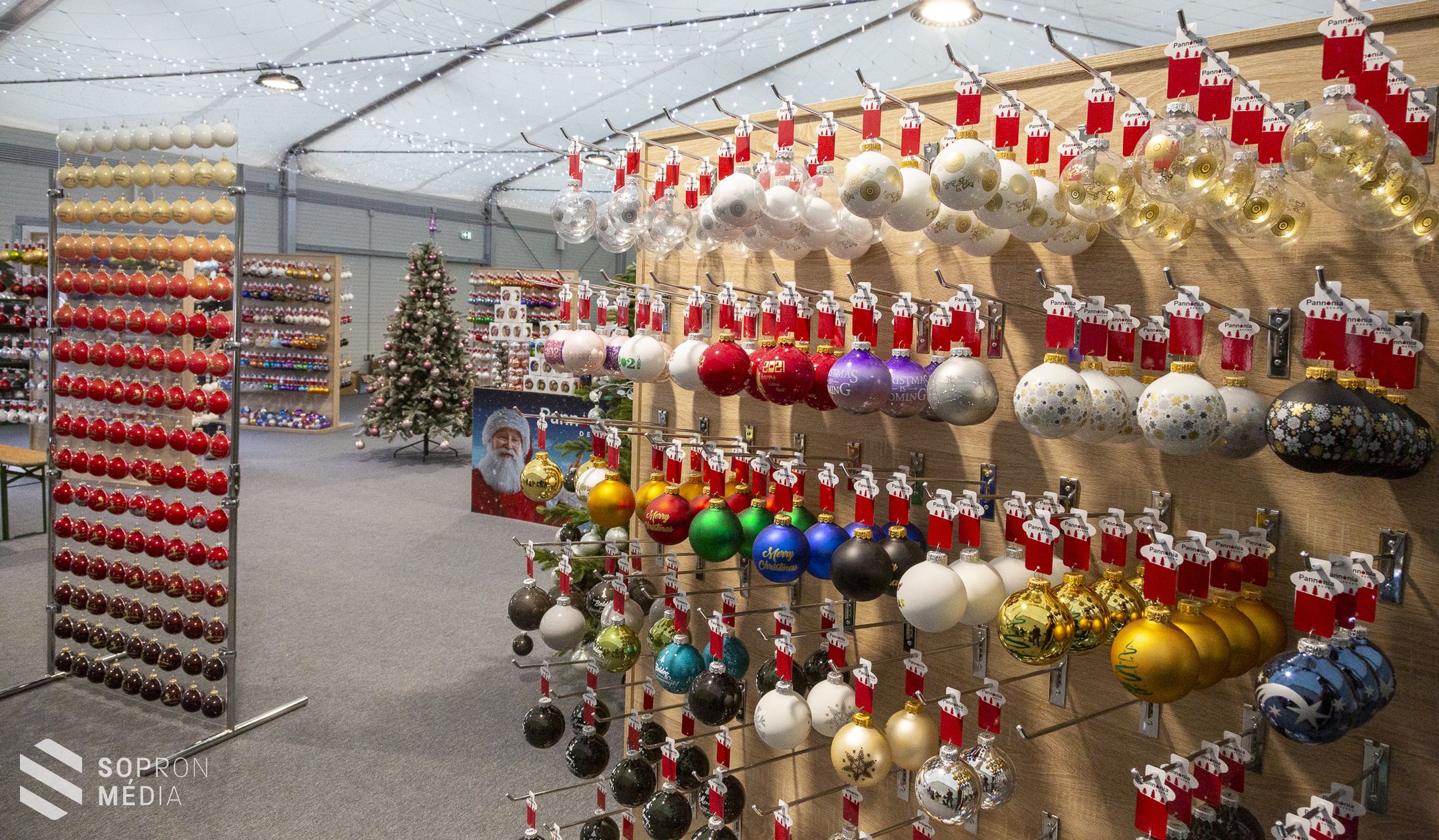 Különleges helyen zárta az évet a Soproni Tigrisek egyesülete