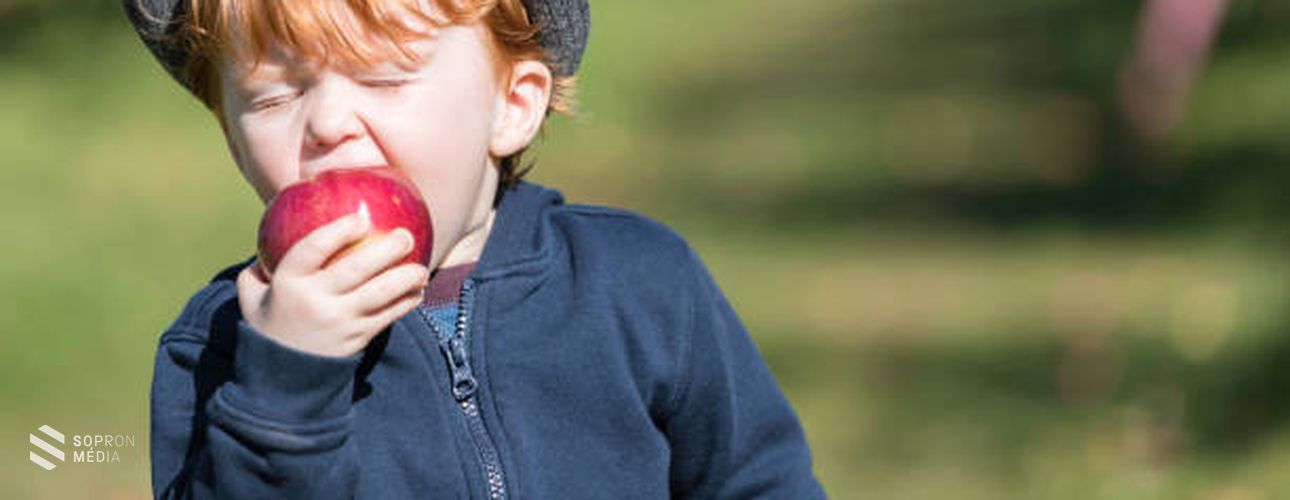 Napi egy alma az orvost távol tartja