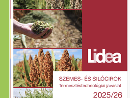 SZEMES- ÉS SILÓCIROK Termesztéstechnológiai javaslat 2025/26