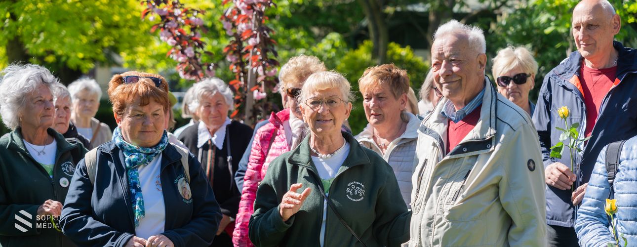 Emlékfát ültettek Monspart Sarolta tájfutó világbajnok tiszteletére