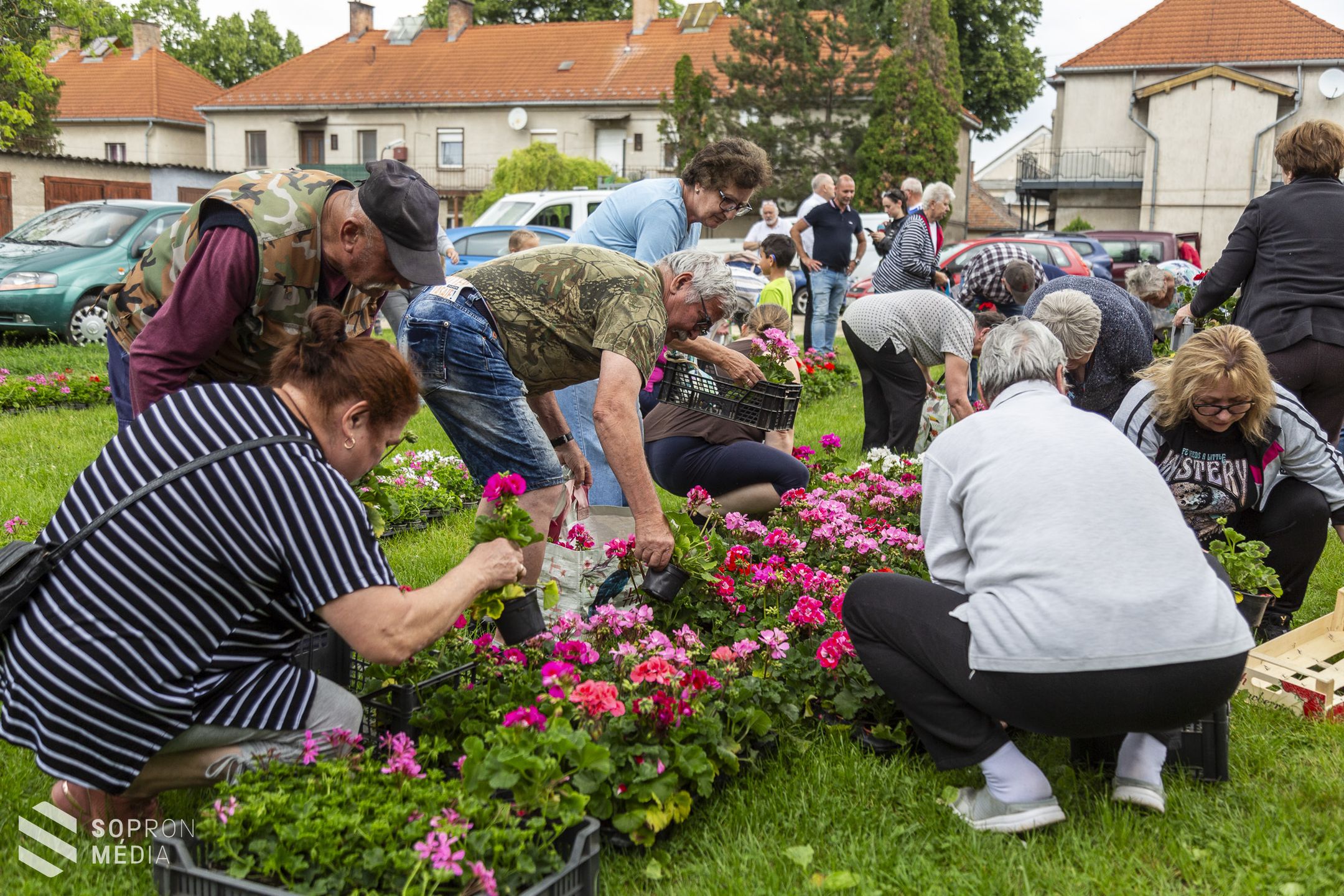 Virágosztás a szép és zöld környezetért