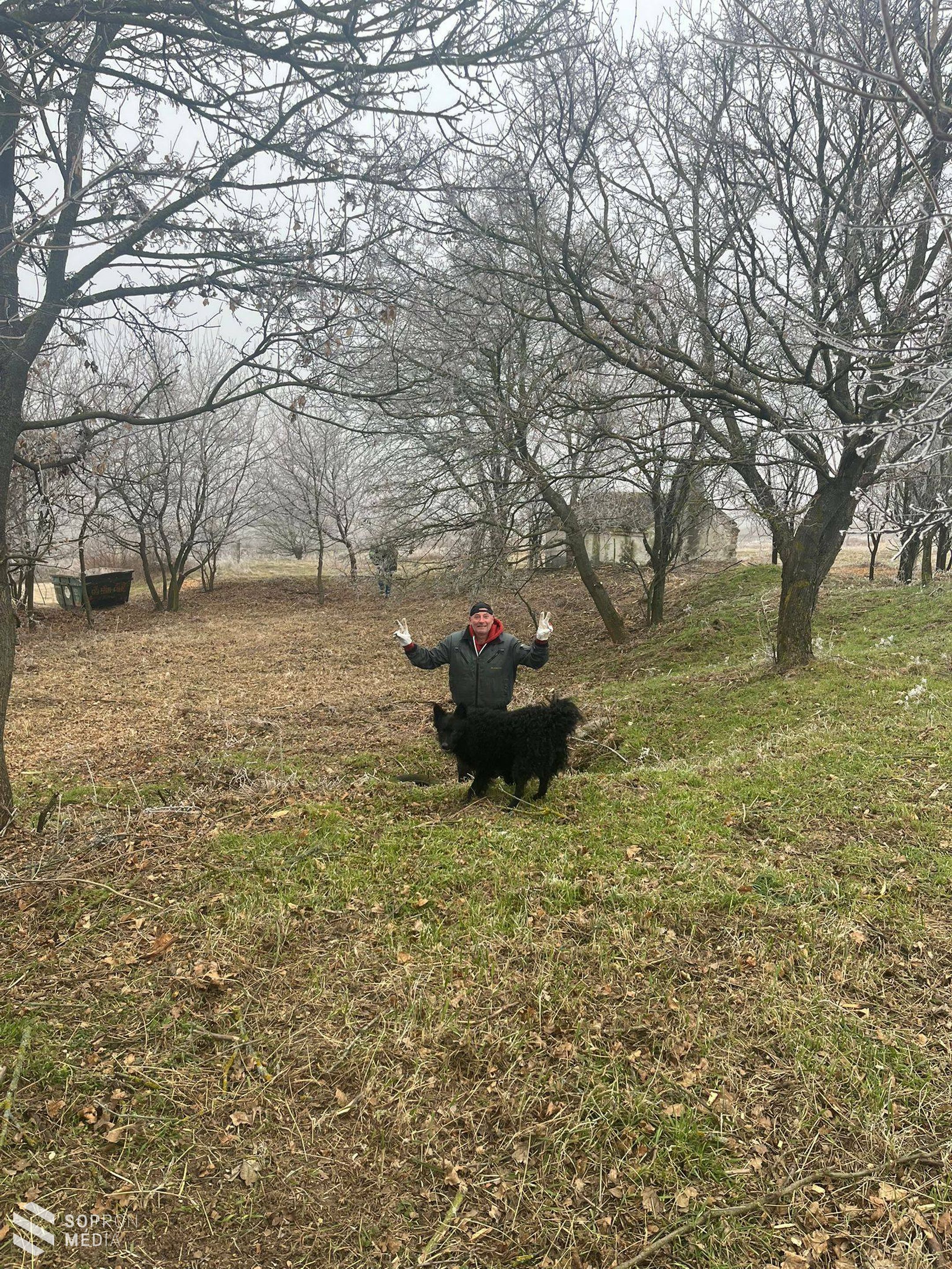 Közösségi munka a Csőszházért