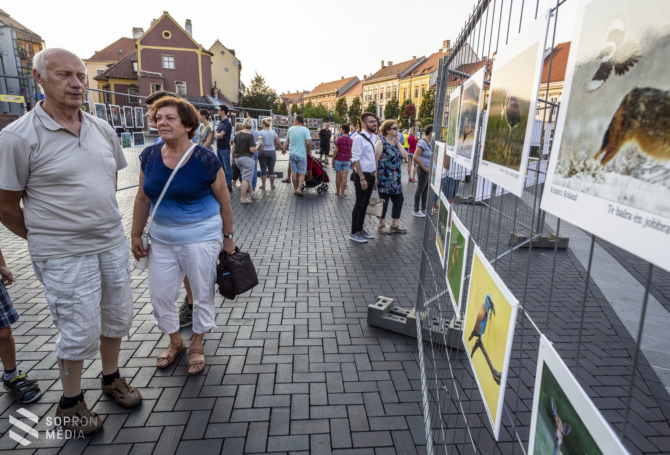 Szabadtéri fotókiállítás a Várkerületen