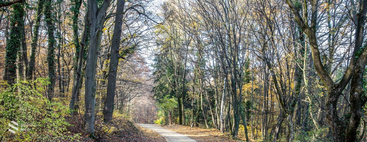 Kerékpárút épül Sopron és Harka között