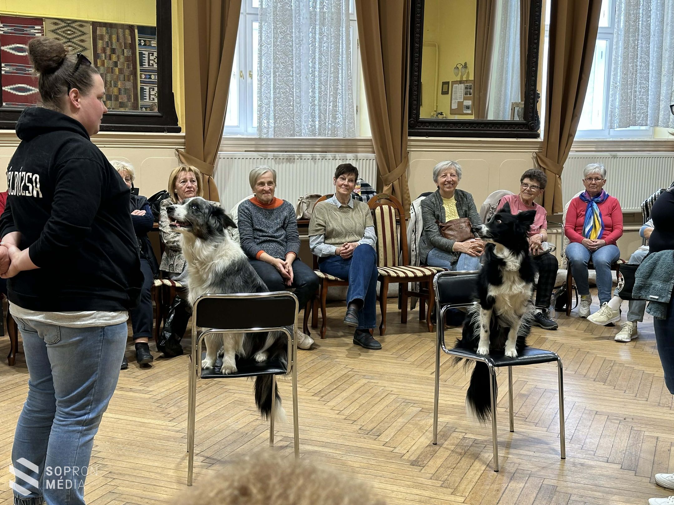 Terápiás kutyák látogattak el a nyugdíjas klub tagjaihoz