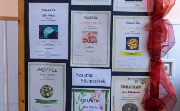 30. Falunap 2019. augusztus 3.