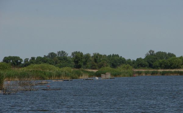 Fertő-Hanság Nemzeti Park - Tündér-tó, Tőzeg-tavak